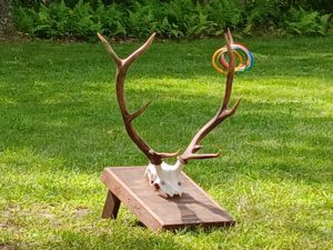 Elk Expo 2026